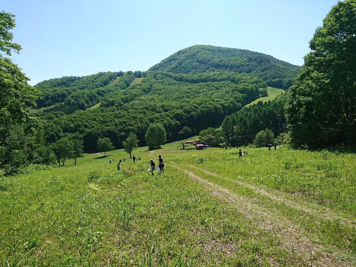 北日光山菜狩りツアーイメージ1