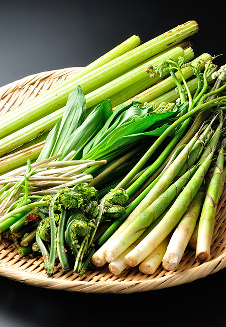 旬の山菜・地元野菜